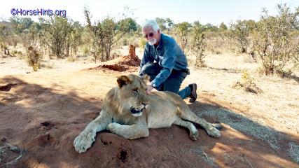 Zimbabwe/Bill/Walk with the Lions/CopyrightHorseHints.org