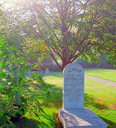 Alydar's Grave Calumet Farm, Kentucky/Wikipedia/David Paul Ohmer