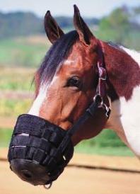 Horse Muzzle with breakaway leather strap.