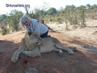 Image: Walk with the Lions/Zimbabwe/Deb/Copyright Horsehints.org